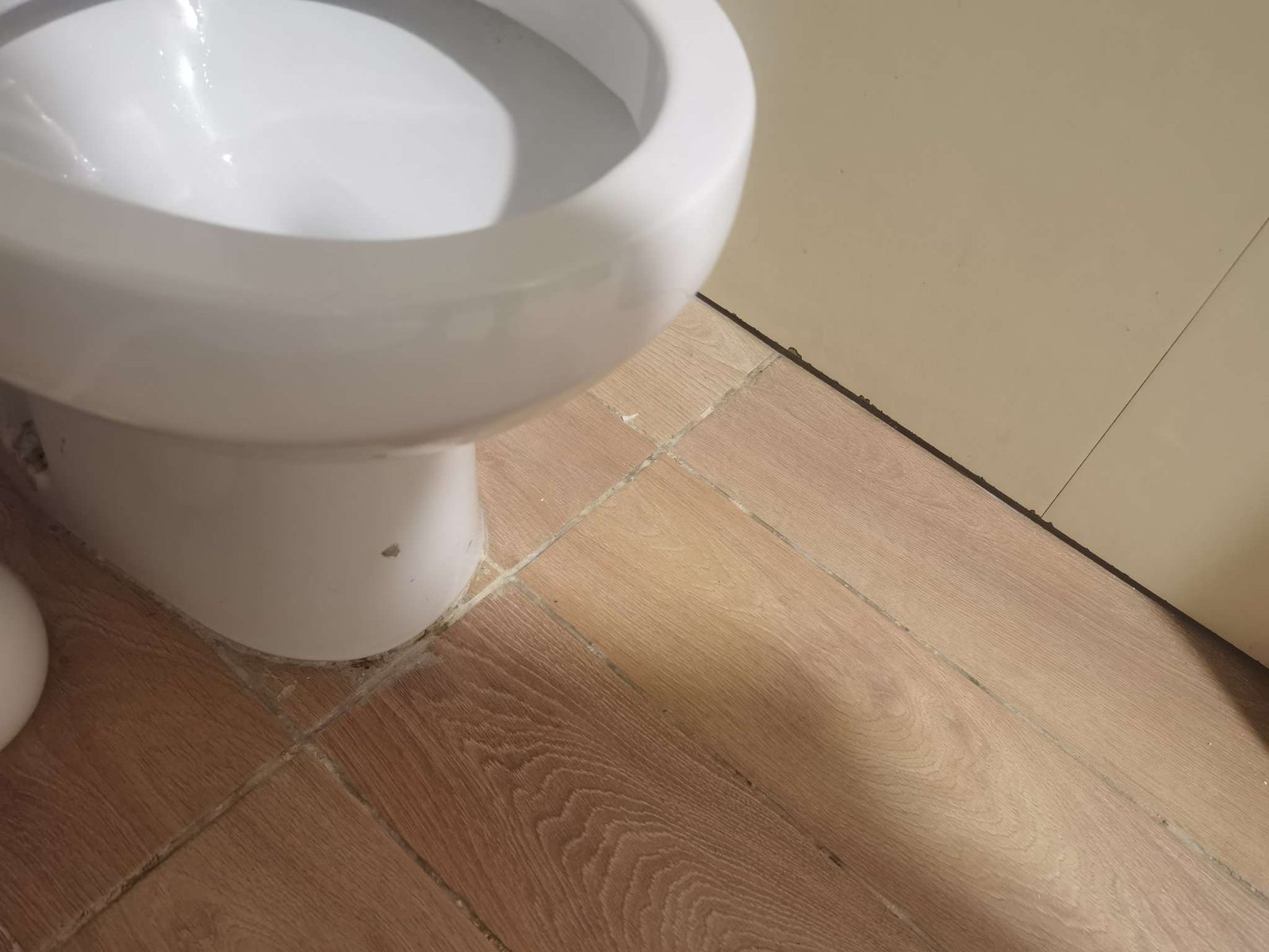 Réparation fuite toilettes